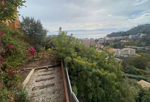 Foto 2 de Xalet en venda a El Mayorazgo - El Limonar de 5 habitacions amb terrassa i jardí
