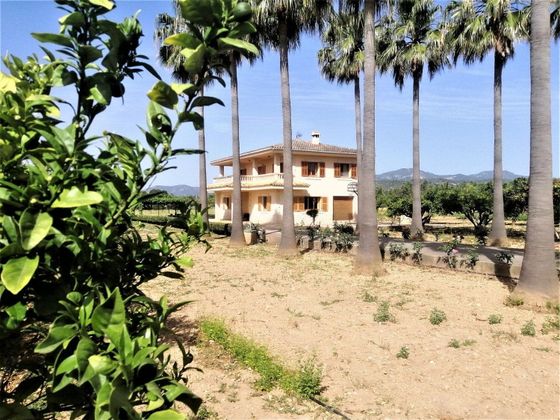 Foto 2 de Casa rural en venda a Establiments - Son Espanyol - Son Sardina de 4 habitacions amb terrassa i piscina