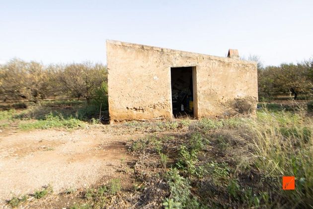 Foto 2 de Venta de terreno en Santa Bàrbara de 8510 m²