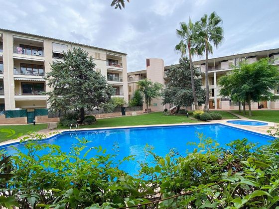Foto 1 de Pis en venda a Bellver - Son Dureta- La Teulera de 1 habitació amb terrassa i piscina