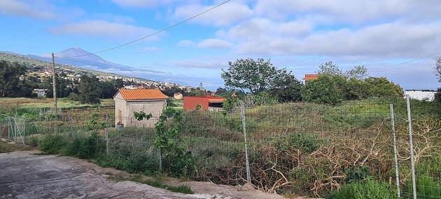 Foto 1 de Venta de terreno en Tacoronte - Los Naranjeros de 750 m²