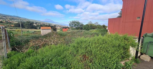 Foto 2 de Venta de terreno en Tacoronte - Los Naranjeros de 750 m²