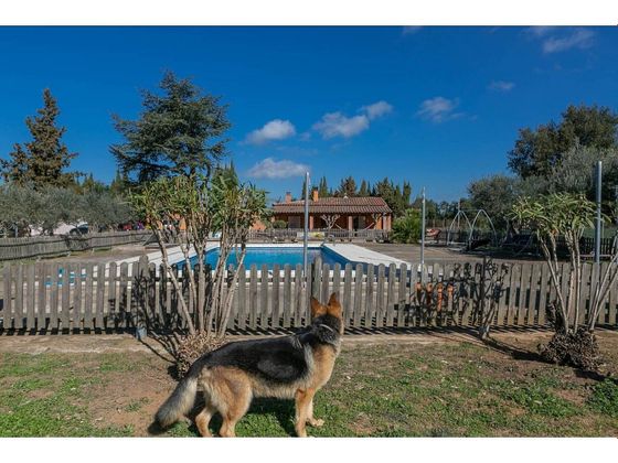 Foto 1 de Casa rural en venda a Forallac de 6 habitacions amb terrassa i piscina