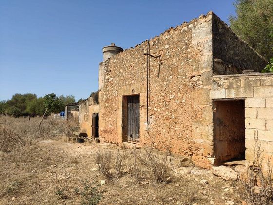 Foto 1 de Casa rural en venda a Santa Margalida de 1 habitació amb jardí