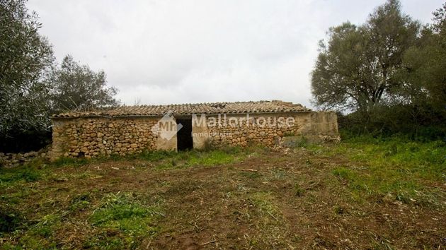 Foto 1 de Venta de terreno en Alaró de 104000 m²