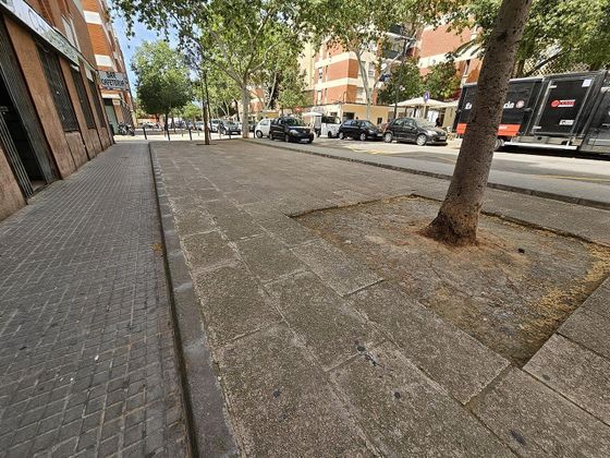 Foto 2 de Alquiler de local en Estadi Balear - Rafal Nou - Son Malferit con terraza