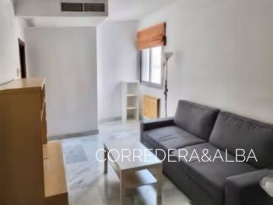 Foto 1 de Alquiler de piso en Nervión de 1 habitación con muebles y aire acondicionado