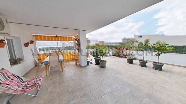 Foto 1 de Piso en venta en Norte - Barrio del Pilar - El Reñidero de 3 habitaciones con terraza y piscina