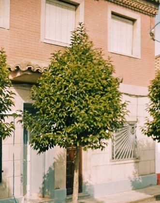 Foto 1 de Venta de casa en Cabañas de Ebro de 6 habitaciones con terraza y jardín