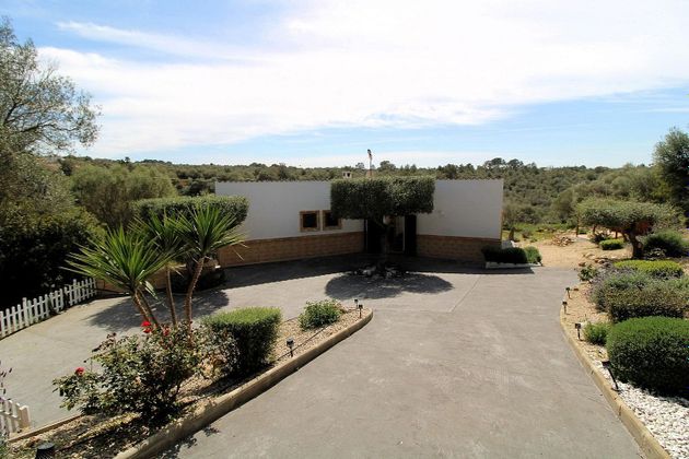 Foto 2 de Casa rural en lloguer a Sant Jordi - Son Ferriol de 2 habitacions amb terrassa i piscina
