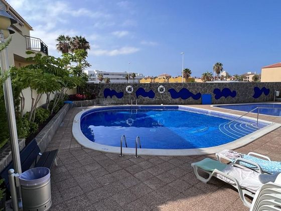 Foto 2 de Pis en lloguer a Costa Adeje de 1 habitació amb terrassa i piscina