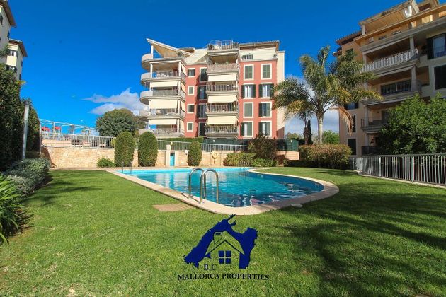 Foto 1 de Piso en venta en Bellver - Son Dureta- La Teulera de 4 habitaciones con terraza y piscina