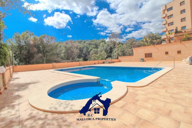 Foto 1 de Piso en venta en Cala Major de 2 habitaciones con terraza y piscina
