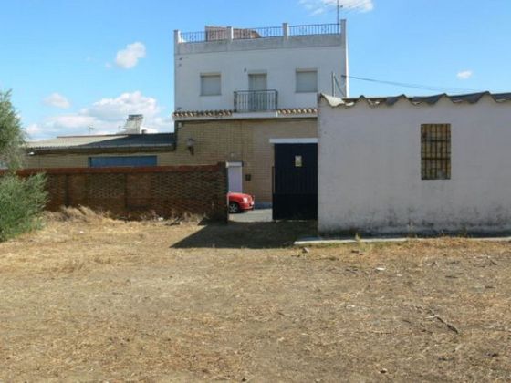 Foto 2 de Venta de terreno en Castilblanco de los Arroyos de 1660 m²