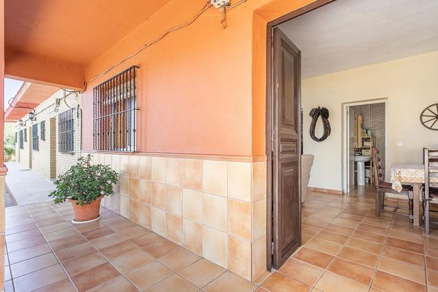 Foto 2 de Casa en venda a Carmona de 9 habitacions amb terrassa i piscina