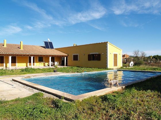 Foto 1 de Casa rural en venta en Sant Jordi - Son Ferriol de 4 habitaciones con terraza y piscina
