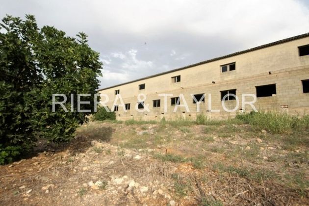 Foto 2 de Casa rural en venda a Ariany de 3 habitacions i 1000 m²