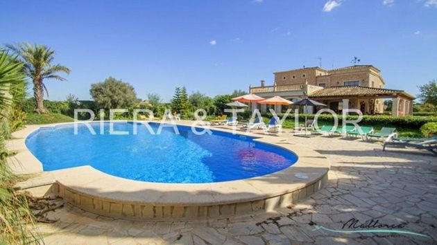 Foto 1 de Casa rural en venda a Campos de 7 habitacions amb terrassa i piscina