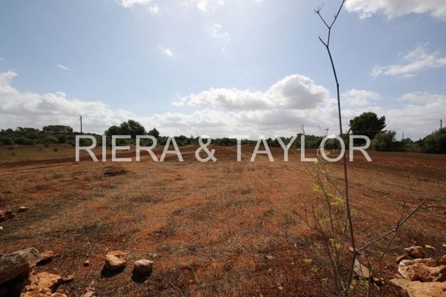 Foto 1 de Venta de terreno en Algaida de 15000 m²