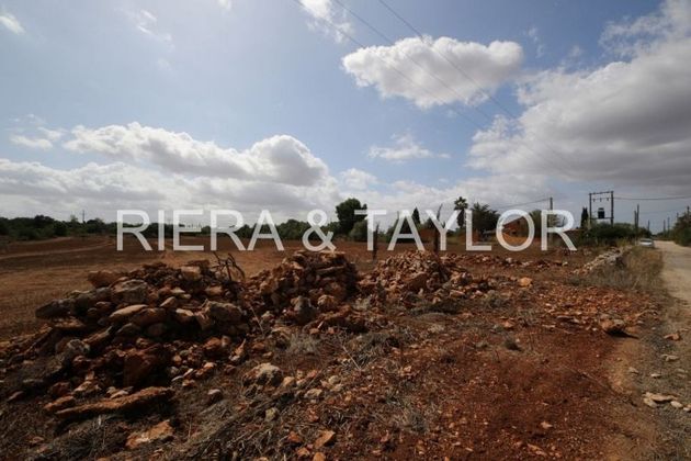 Foto 2 de Venta de terreno en Algaida de 15000 m²