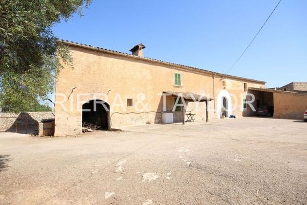 Foto 1 de Casa rural en venda a Vilafranca de Bonany de 3 habitacions i 460 m²