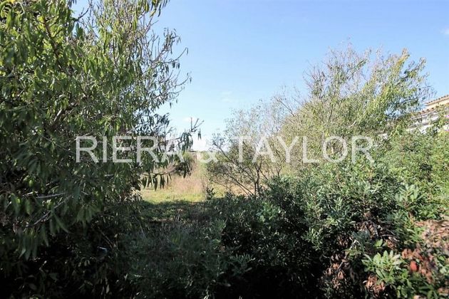 Foto 2 de Venta de terreno en Vilafranca de Bonany de 450 m²
