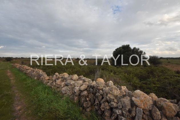 Foto 1 de Venta de terreno en Vilafranca de Bonany de 7102 m²