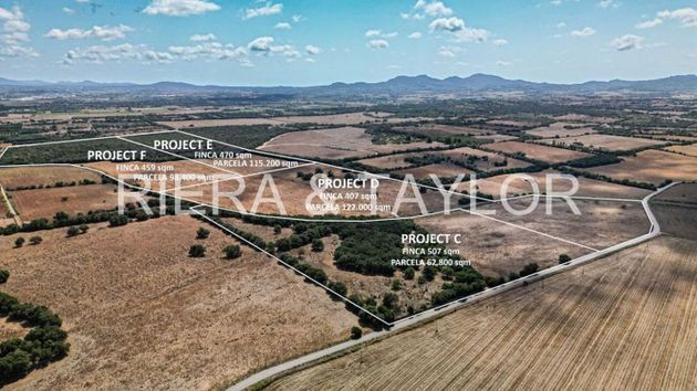 Foto 1 de Venta de terreno en Vilafranca de Bonany de 98400 m²