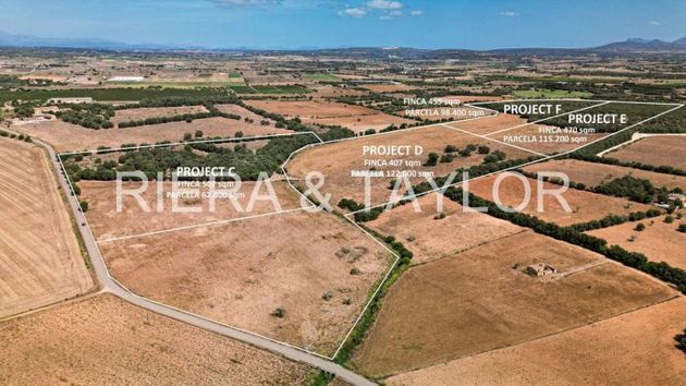 Foto 2 de Terreny en venda a Vilafranca de Bonany de 98400 m²