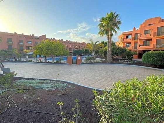 Foto 1 de Pis en venda a calle Pizarro de 2 habitacions amb terrassa i piscina