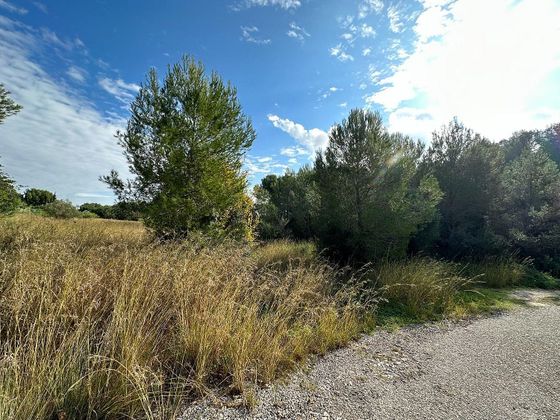 Foto 2 de Venta de terreno en Montgó - Partida Tosal de 8000 m²