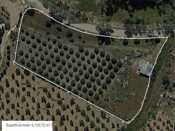 Foto 1 de Venta de terreno en La Hoya-Almendricos-Purias de 6104 m²
