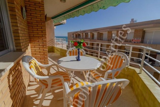Foto 1 de Alquiler de piso en Guardamar Playa de 2 habitaciones con terraza y muebles