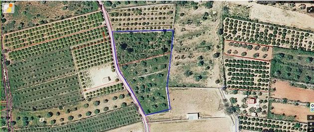Foto 2 de Venta de terreno en Alcalalí de 4501 m²