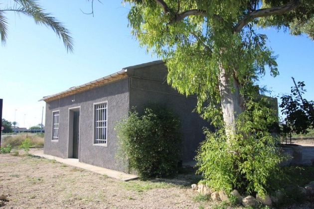 Foto 2 de Casa rural en venda a La Algoda - Matola - El Pla de 5 habitacions amb terrassa i jardí