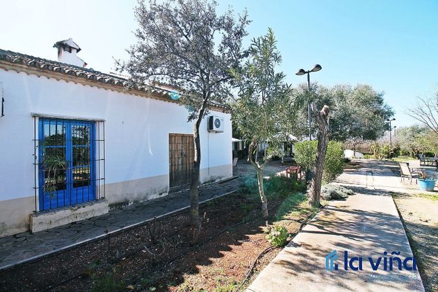 Foto 2 de Casa en venda a Martín de la Jara de 9 habitacions amb piscina i jardí