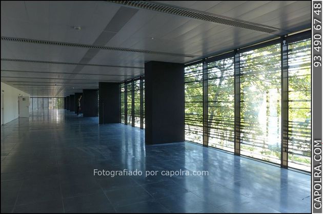 Foto 2 de Oficina en lloguer a El Poblenou amb terrassa i ascensor