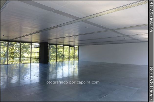 Foto 2 de Oficina en lloguer a El Poblenou amb terrassa i ascensor