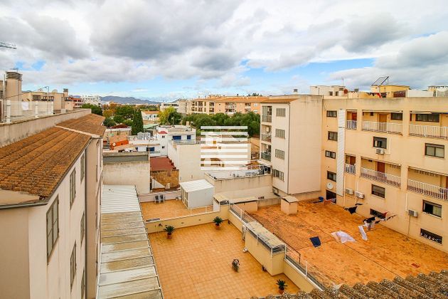 Foto 1 de Ático en venta en Port d'Alcúdia - Platja d'Alcúdia de 3 habitaciones con terraza y garaje