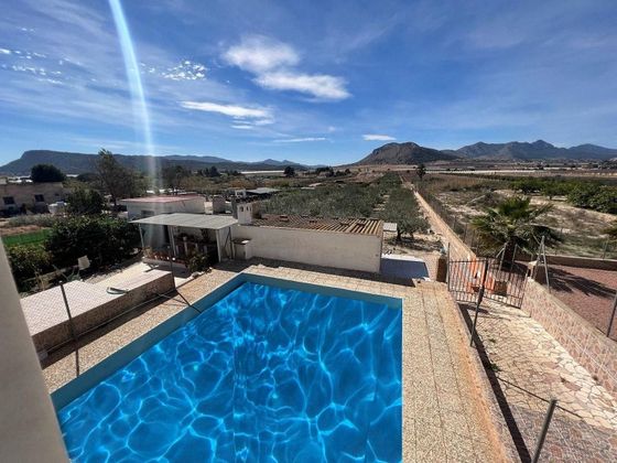Foto 1 de Chalet en venta en Romana (la) de 7 habitaciones con terraza y piscina