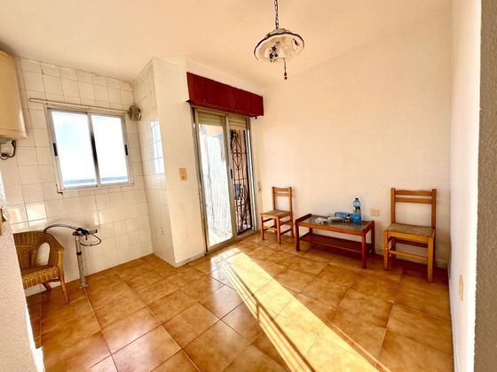 Foto 1 de Pis en venda a Torrelamata - La Mata de 1 habitació amb terrassa