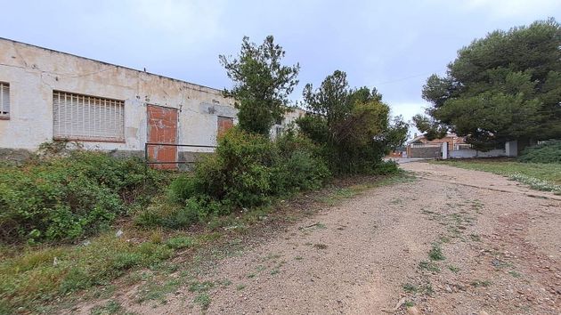 Foto 1 de Venta de terreno en Sant Pere i Sant Pau de 41800 m²
