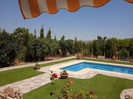 Foto 2 de Casa rural en venta en Sierra de Carrascoy de 3 habitaciones con piscina y jardín