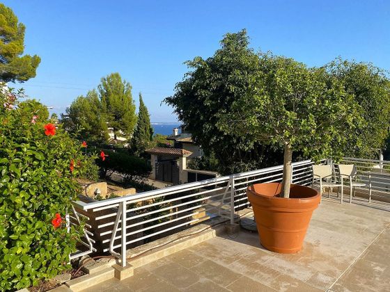 Foto 1 de Piso en venta en Cas Catala - Illetes de 5 habitaciones con terraza y piscina