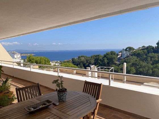 Foto 2 de Piso en venta en Cas Catala - Illetes de 5 habitaciones con terraza y piscina