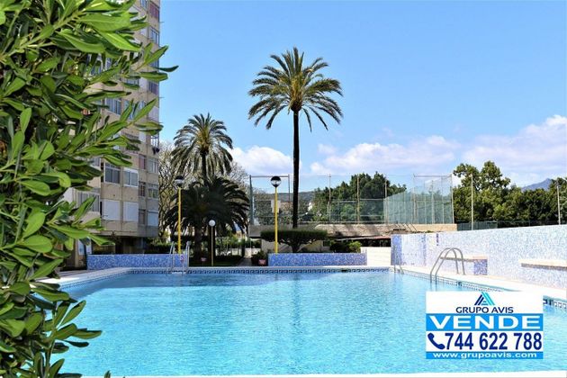 Foto 1 de Àtic en venda a Playa de Gandia de 3 habitacions amb terrassa i piscina