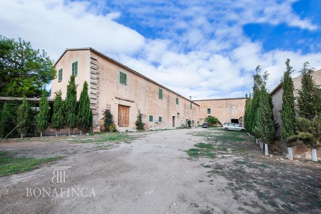 Foto 1 de Casa rural en venda a Sant Jordi - Son Ferriol de 5 habitacions amb terrassa
