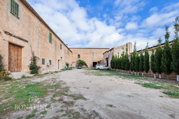 Foto 2 de Casa rural en venta en Sant Jordi - Son Ferriol de 5 habitaciones con terraza