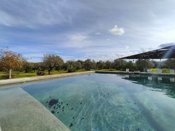 Foto 1 de Casa rural en venda a Sencelles de 2 habitacions amb terrassa i piscina
