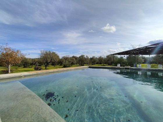 Foto 2 de Xalet en venda a Sencelles de 2 habitacions amb piscina i jardí